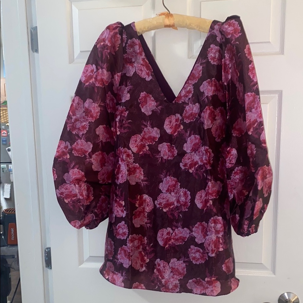 BHLDN Aliana Long-Sleeve V-Neck Floral Organza Mini Dress